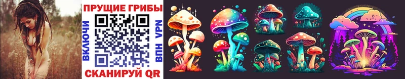 hydra рабочий сайт Оса Псилоцибиновые грибы Psilocybe сколько стоит